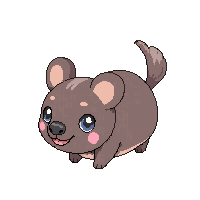 wombat baby