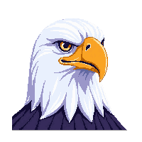 bald eagle face icon