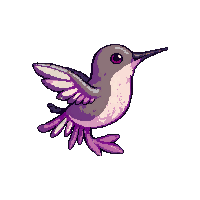 hummingbird face icon
