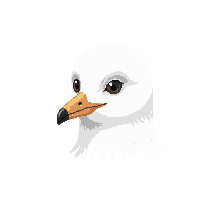 seagull face icon