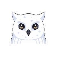 snowy owl face icon