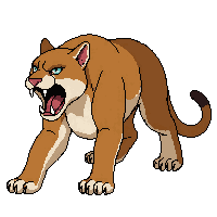cougar angry