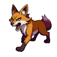 coyote angry
