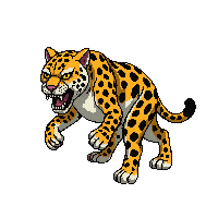 leopard angry