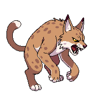 lynx angry