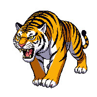 tiger angry