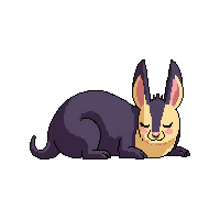 aardvark sleeping