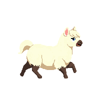 alpaca running