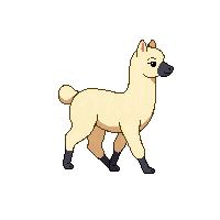 alpaca walking