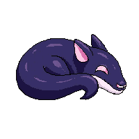 anteater sleeping