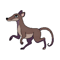 anteater walking