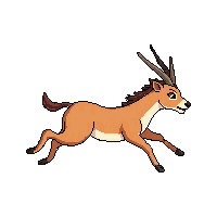 antelope running