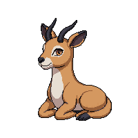 antelope sitting