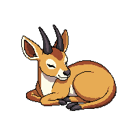 antelope sleeping