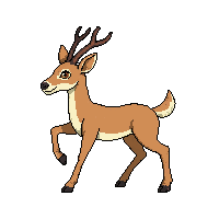 antelope walking