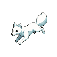 arctic fox running