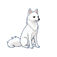 arctic fox sitting