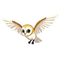 barn owl flying