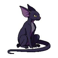 bat sitting