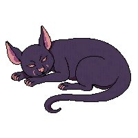 bat sleeping
