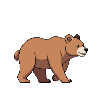 bear walking