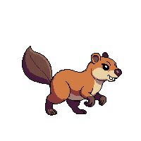 beaver walking