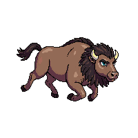 bison running