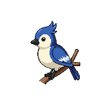 blue jay perched
