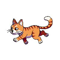 bobcat running