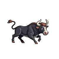 bull running