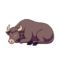 bull sleeping