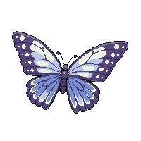 butterfly flying