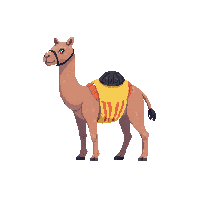 camel sitting