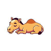 camel sleeping
