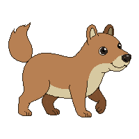 capybara walking