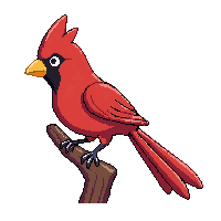 cardinal perched