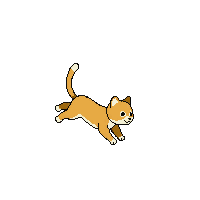 cat jumping