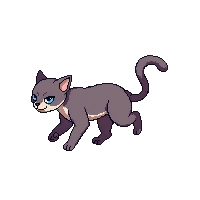 cat running