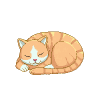 cat sleeping