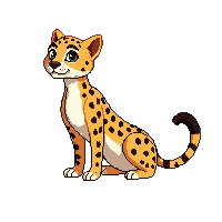 cheetah sitting
