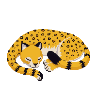 cheetah sleeping