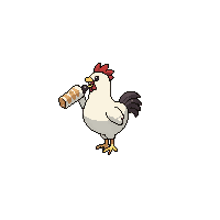 chicken eating