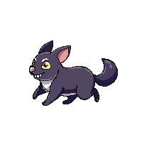 chinchilla running