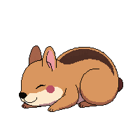 chipmunk sleeping