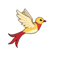 cockatiel flying