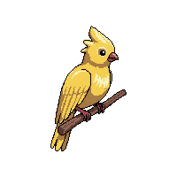 cockatiel perched