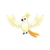 cockatoo flying