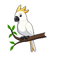 cockatoo perched