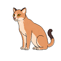 cougar sitting