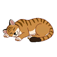 cougar sleeping